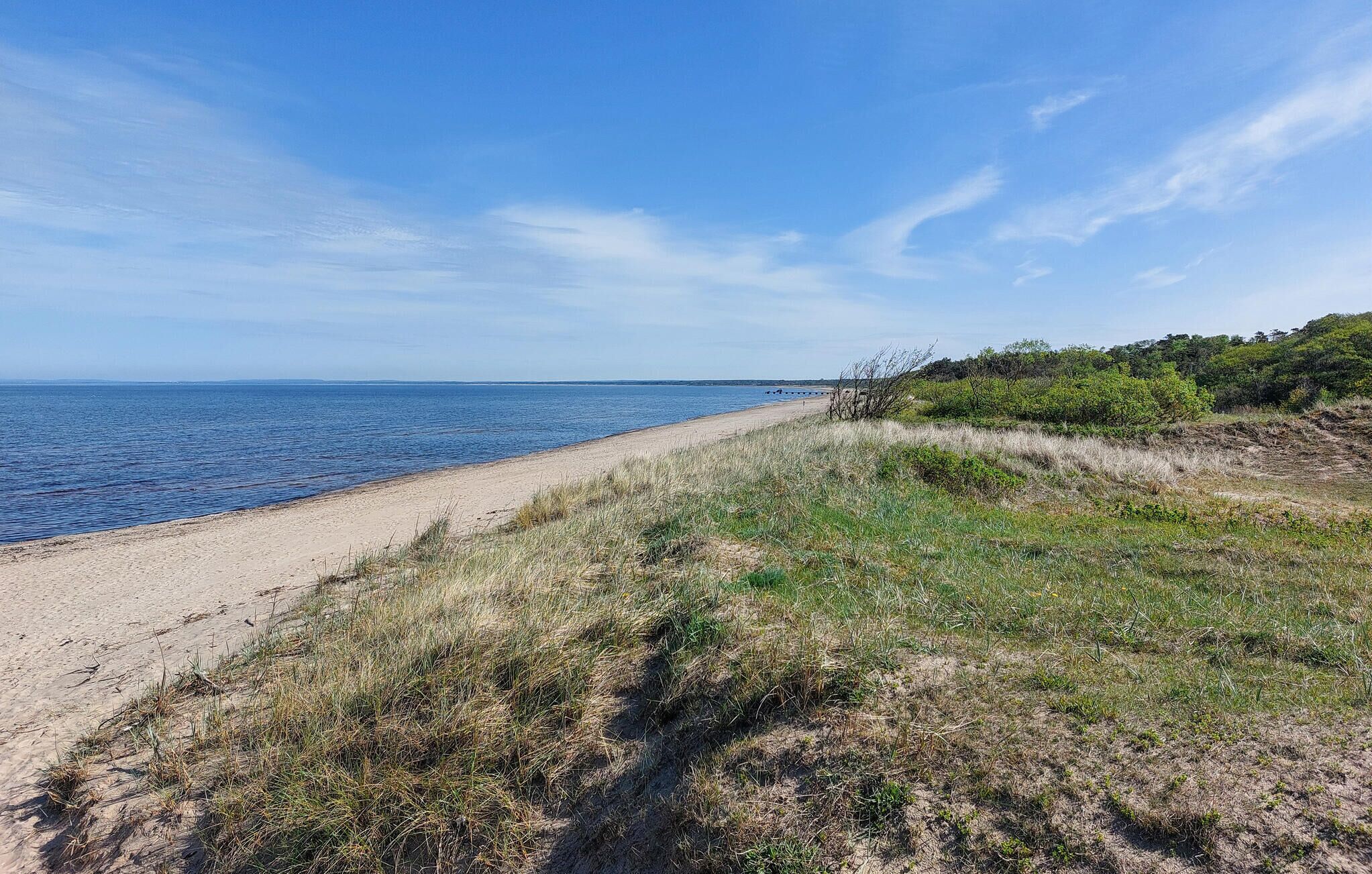 A beach with a sandy shore and grassy dunes.