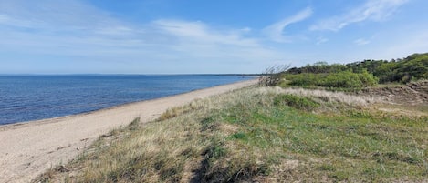 A beach with a sandy shore and grassy dunes.
