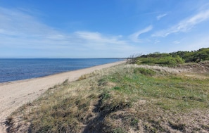 Une plage avec un rivage sablonneux et des dunes herbeuses.