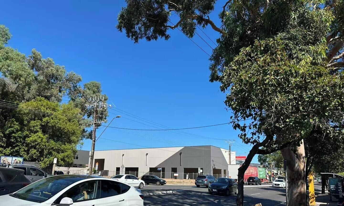 A street view with a large building, parked cars, and trees.