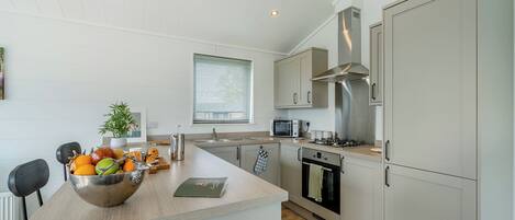 Fridge, oven, stovetop, toaster