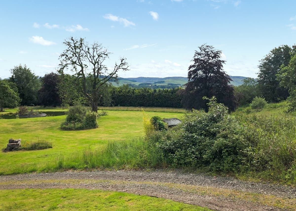 Een landelijk landschap met een grasveld, bomen en een heldere lucht.