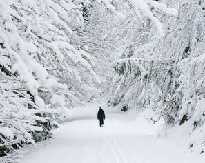 Deportes de invierno y ski