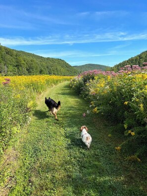 المنطقة المحيطة بالمنشأة