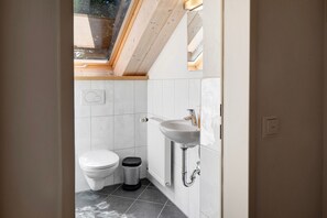 Shower, hair dryer, towels - Room 'Amsel' with Mountain View, Private Terrace and Wi-Fi (Sankt Märgen)