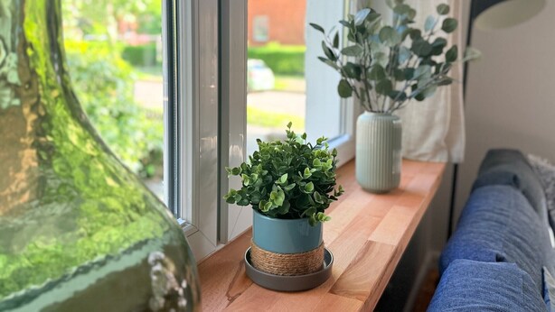 Une fenêtre donnant sur un paysage verdoyant, un pot de fleurs posé sur une étagère en bois, une lampe et un vase.