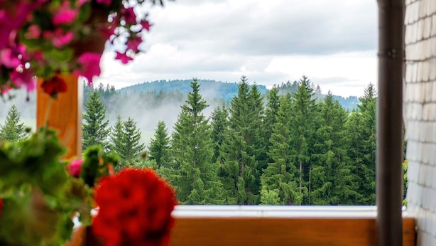 A view through a window with a wooden frame, a wooden bench, and a forested mountain range in the background. - Room 'Nr 7' with Mountain View, Shared Terrace and Wi-Fi (Titisee-Neustadt)