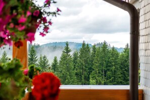 A view through a window with a wooden frame, a wooden bench, and a forested mountain range in the background. - Room 'Nr 7' with Mountain View, Shared Terrace and Wi-Fi (Titisee-Neustadt)