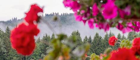 Ein bewaldeter Berghintergrund mit roten Blüten im Vordergrund.