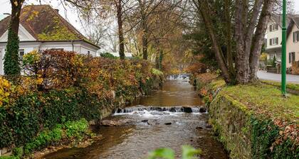 Holiday Apartment Mühlerain with Balcony