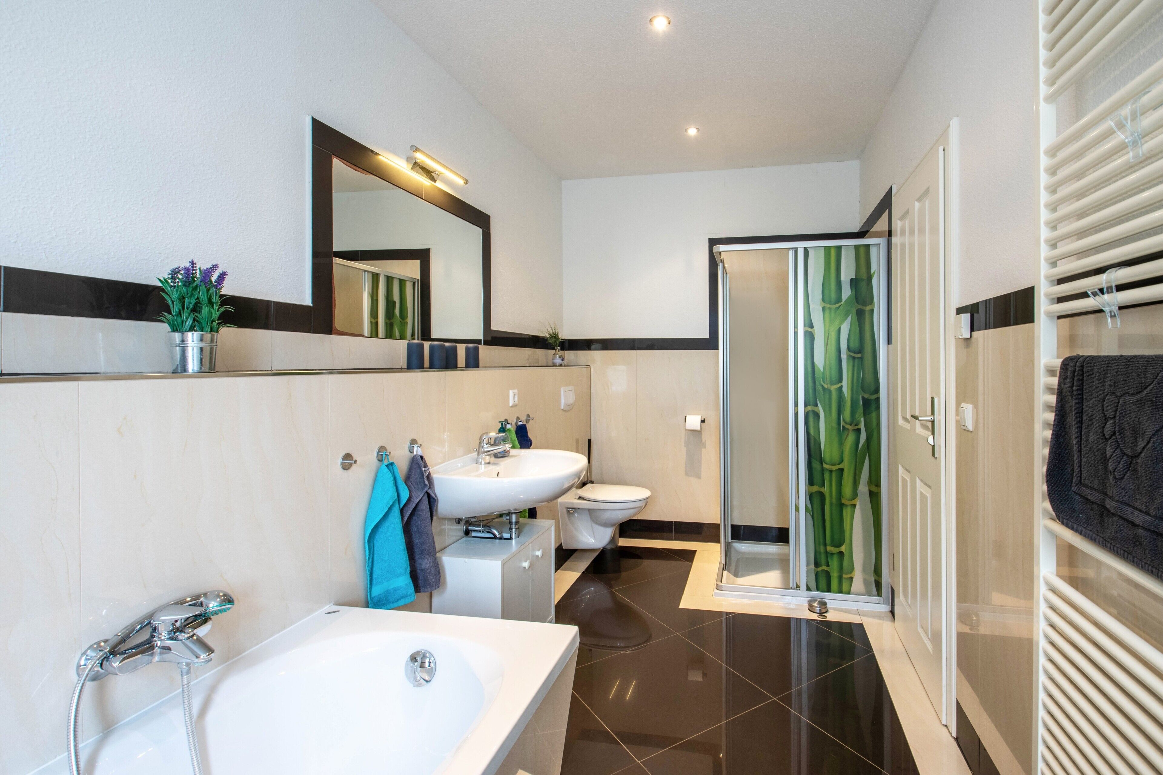Shower, hair dryer, towels