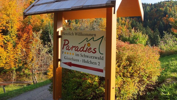 Ein hölzernes Wegweiser mit freundlicher Botschaft und Richtungspfeil vor dem Hintergrund von Herbstlaub und einer Berglandschaft.