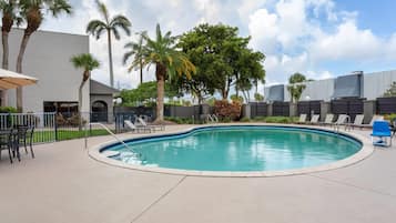 Ein Swimmingpool mit Liegestühlen und Palmen.