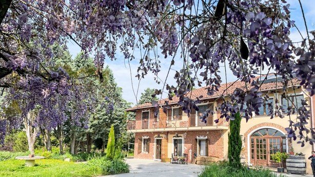 A two-story brick house with a balcony, surrounded by lush greenery and purple wisteria vines.