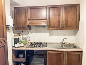 Fridge, oven, cookware/dishes/utensils