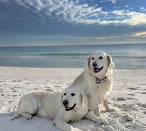 Una spiaggia nelle vicinanze, lettini da mare, teli da spiaggia
