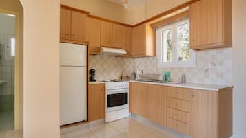 Fridge, oven, stovetop, coffee/tea maker