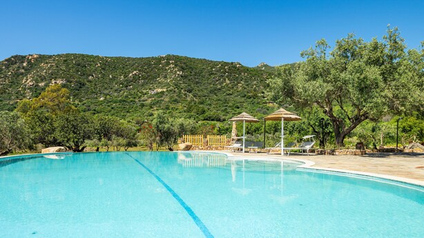 A clear swimming pool with lounge chairs and umbrellas, surrounded by trees and a hilly landscape. - Villa 'Harmònia' with sea view, Wi-Fi and air conditioning (Villasimius)