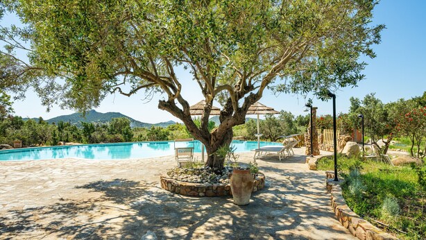 A pool area with a large tree, stone pathway, and outdoor furniture. - Room 'Campus' with Sea View, Wi-Fi and Air Conditioning (Villasimius)