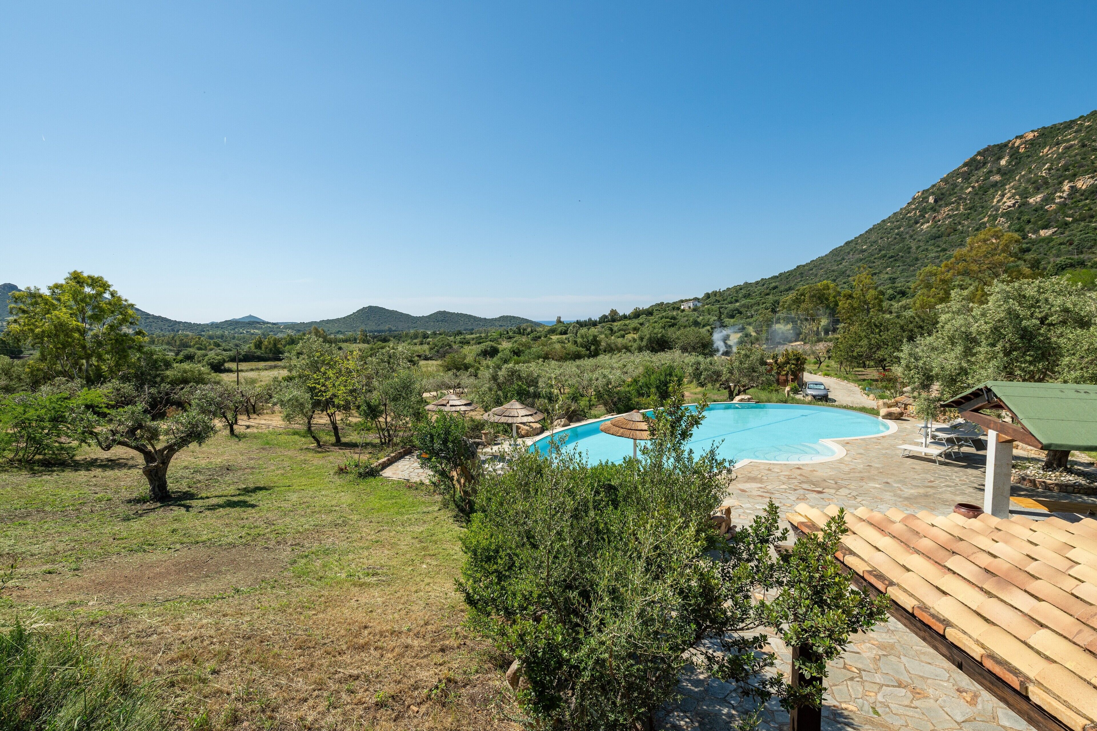 Ein Pool, umgeben von Bäumen, mit einem Berg im Hintergrund.