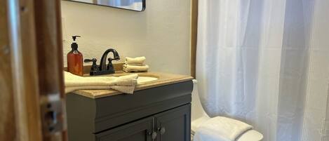 Une salle de bain avec un lavabo, un robinet et un distributeur de savon. On y trouve des toilettes avec un abattant blanc et un rideau de douche.