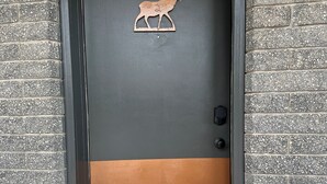 外觀