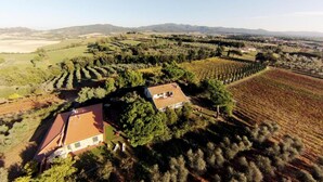 An aerial view of a vineyard with rows of grapevines, a house with a red roof, and surrounding hills.