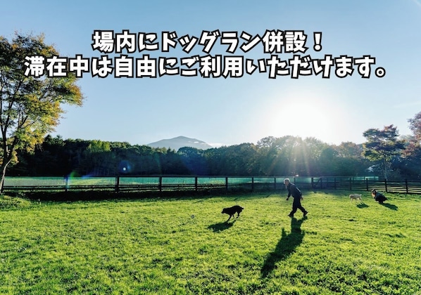 Miscellaneous - Northland Cottage with Dog Winter / Agatsuma County Gunma (Agatsuma County)