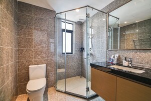 A modern bathroom with a glass-enclosed shower, a toilet, and a vanity with a mirror.