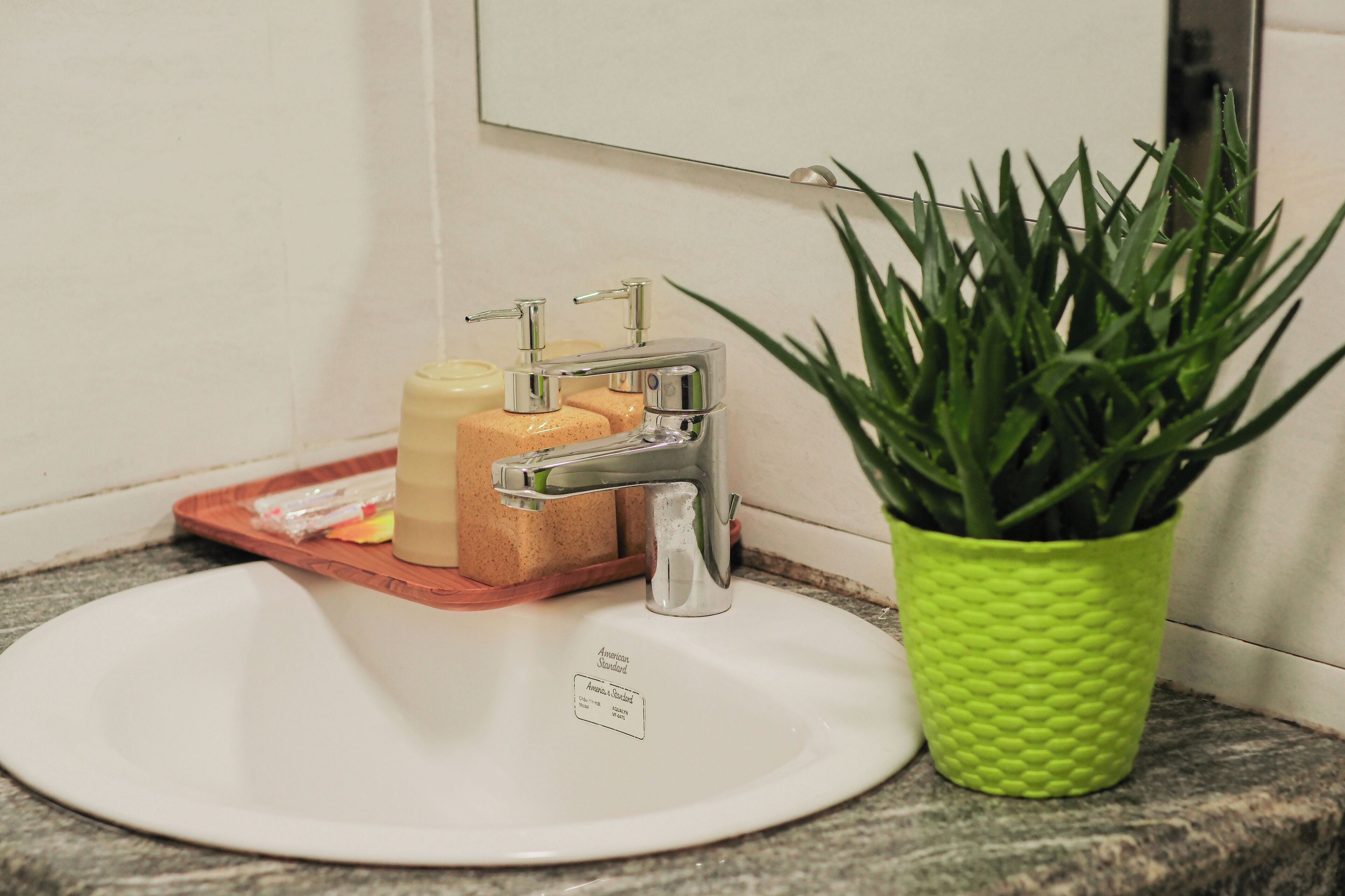 Un lavabo de salle de bain avec un robinet chromé, un distributeur de savon et une plante en pot.