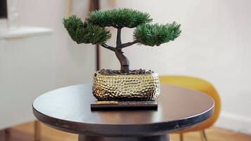 Un arbre bonsai dans un pot texturé, posé sur une table ronde.
