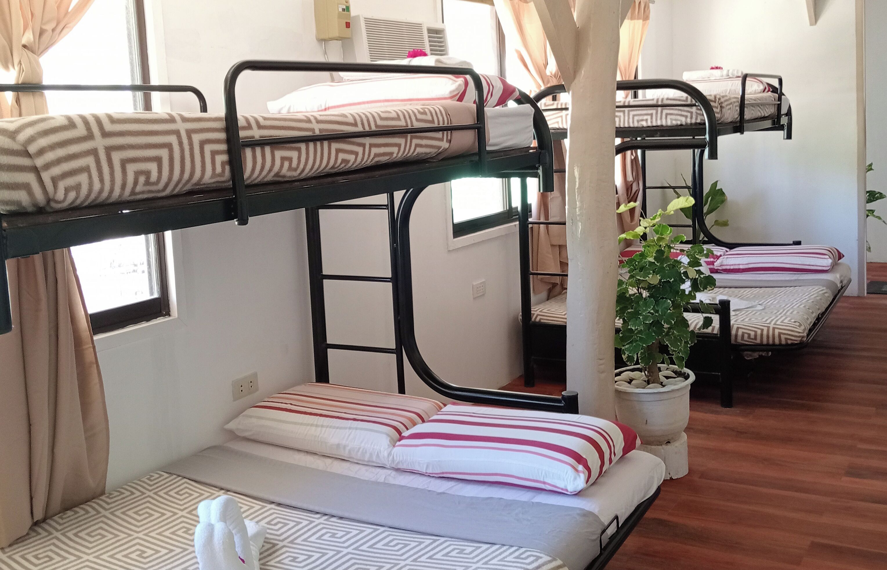 Une chambre de dortoir avec des lits superposés, une plante en pot et une fenêtre avec des rideaux.