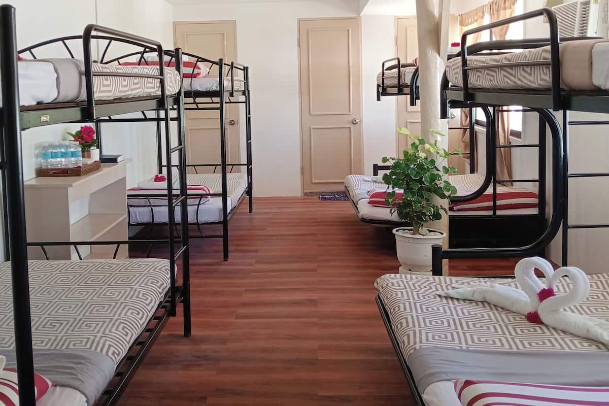 A dormitory room with bunk beds, a wooden floor, a potted plant, and a heart-shaped towel decoration.