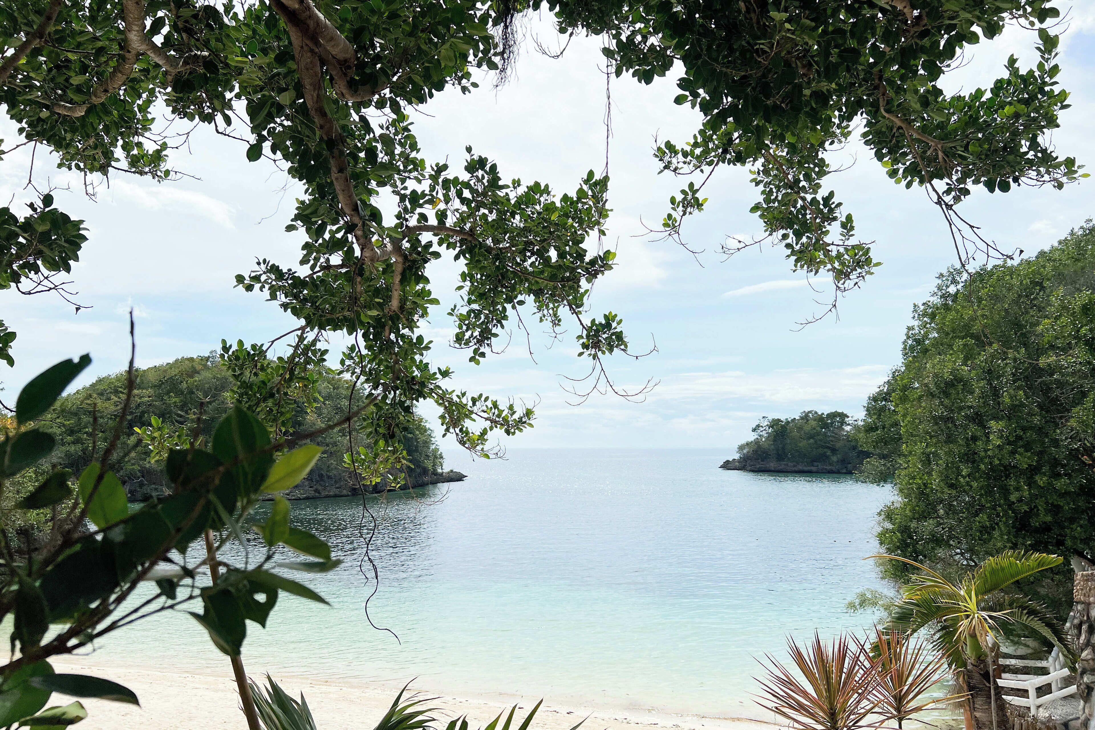 A beach with clear water, surrounded by lush greenery and a white fence.