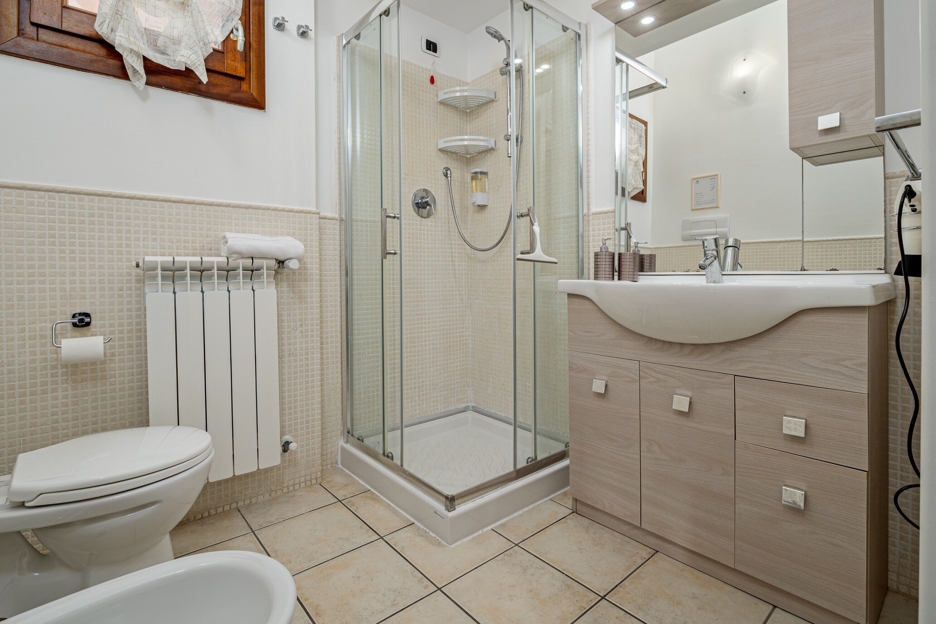 Shower, hair dryer, towels