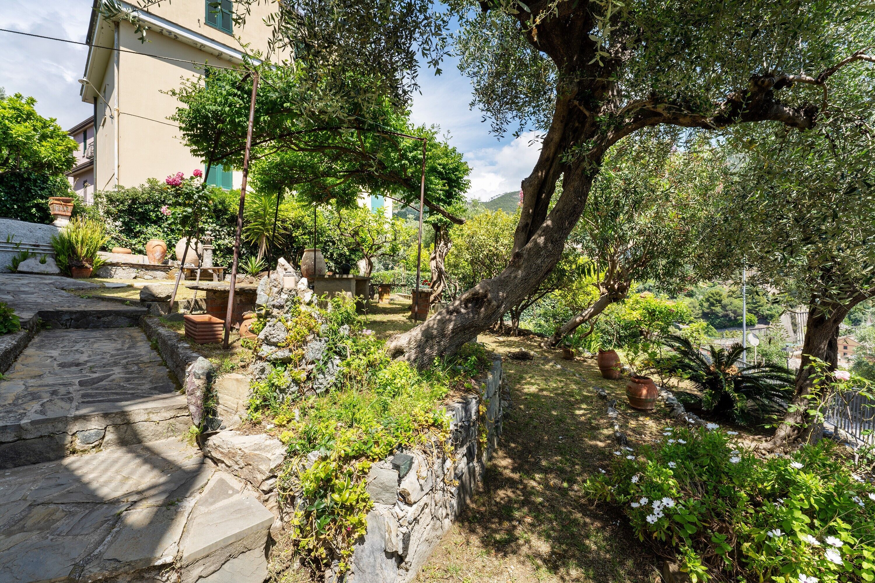 Un chemin de pierres menant à une maison dotée d’un jardin, entourée d’arbres et de plantes en pot.
