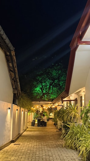 A nighttime corridor with a tree illuminated in green, a tiled floor, and a person working at a counter.