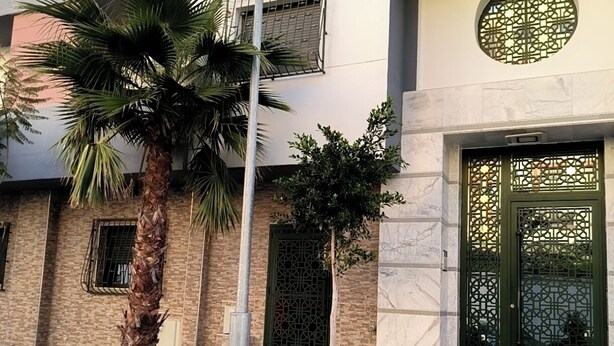 A modern building with a flat roof, a large palm tree, and a decorative door with intricate patterns.
