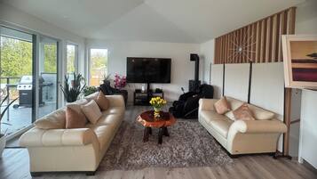 Un salon moderne avec deux canapés, un téléviseur et une cheminée.