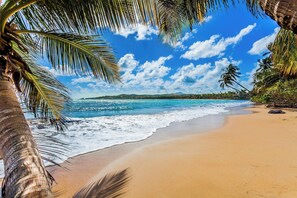 Beach nearby - Alturas Del Mar | Stunning Views & Great Amenities (Humacao)