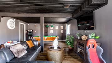 TV, fireplace, books