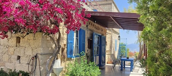 Traditional Stone cosy Cottage on the outskirts of Kritou Tera