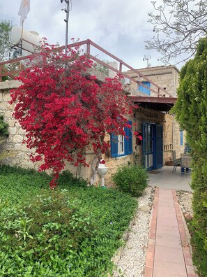 A stone building with a red flowering tree in front, a paved pathway, and a blue door.