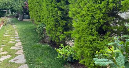 Mi Amor Phokaia Konuk Evi