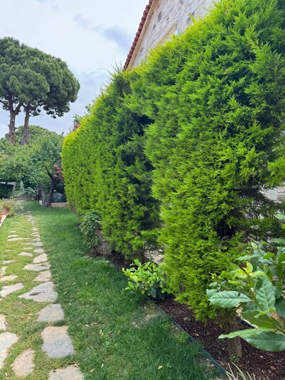 Mi Amor Phokaia Konuk Evi