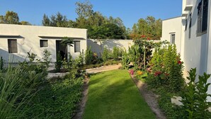 Ein modernes Haus mit einem gepflegten Garten, der einen Rasen, verschiedene Pflanzen und einen Weg zeigt.