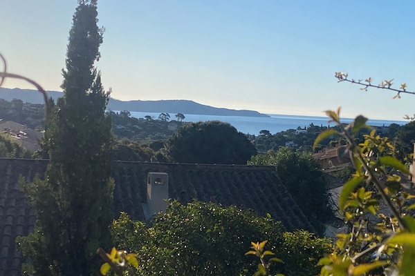 Vista desde la propiedad