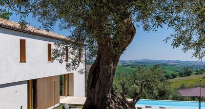Luxury Retreat - dream pool