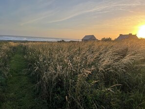 A coastal landscape with a path leading to a grassy area, a body of water, and a building in the background.