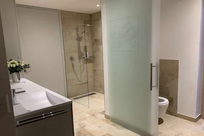 Shower, hair dryer, towels